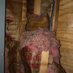 Mouse nest