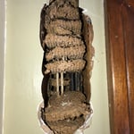 Removal of wasp nest