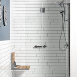 Shower w/ Bench