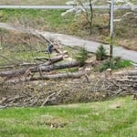 Trees