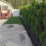 New sod