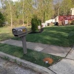 New sod
