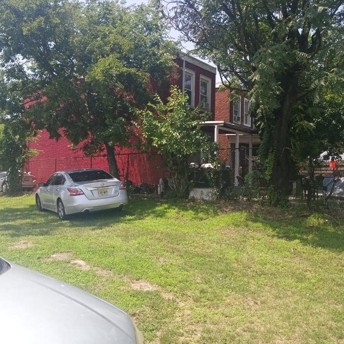 Tree remove