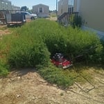 Weed removal