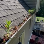 Gutter cleaning