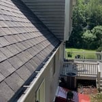 Gutter cleaning