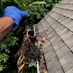 Gutter cleaning