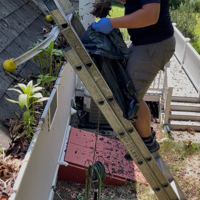 Gutter cleaning
