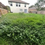 Lawn care Service