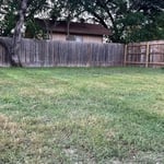 Lawn care Service