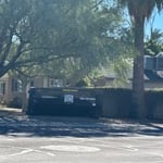Tree & Debris Job