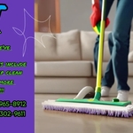 Standard Cleaning
