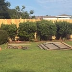 Yard Clean up