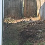 Yard Clean up