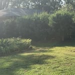 Yard Clean up