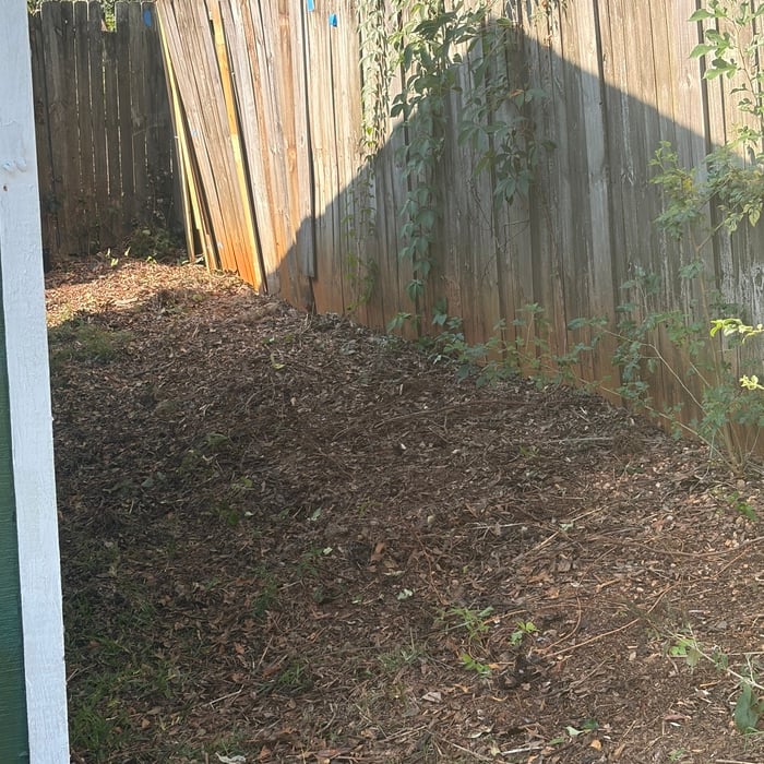 Yard Clean up