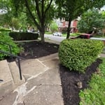 Mulch and hedge trimming