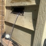 Mold inspection