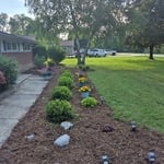 Troy (Mulch)