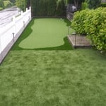 Artificial Grass