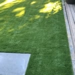 Artificial Grass