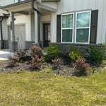 Mulch Application