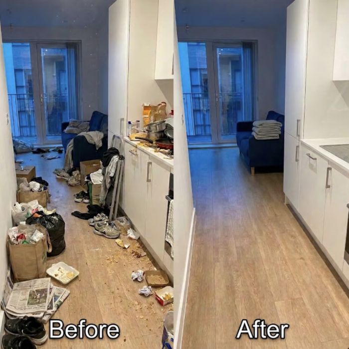 standard clean