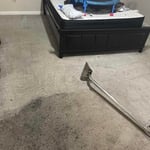 Carpet clean