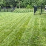 Residential Lawn Care