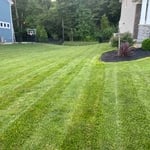 Residential Lawn Care
