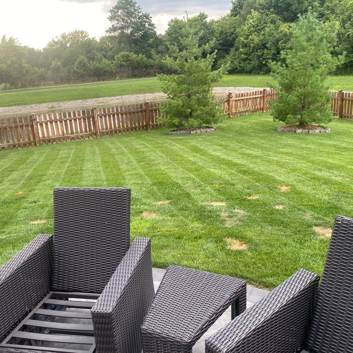 Residential Lawn Care