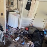 Full Home Cleanout