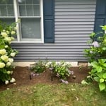 Plant beds
