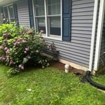 Plant beds