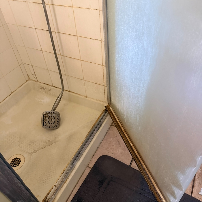 Guest BATH Before
