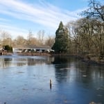 After – Clear Pond