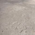 Garage floor