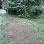 The Post Photo