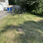 The Before