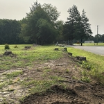 Stumps