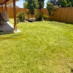 Lawn care