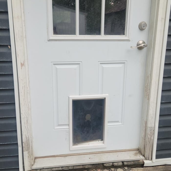 Doggie Door