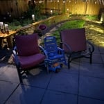 Backyard Natural Reno