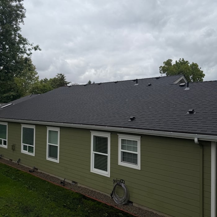 Roof soft wash
