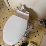 Toilet replacements
