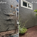 Stucco bump repair