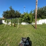 Fence & playscape