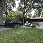 Brush/debris removal
