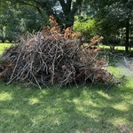 Brush/debris removal