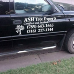 Tree Experts